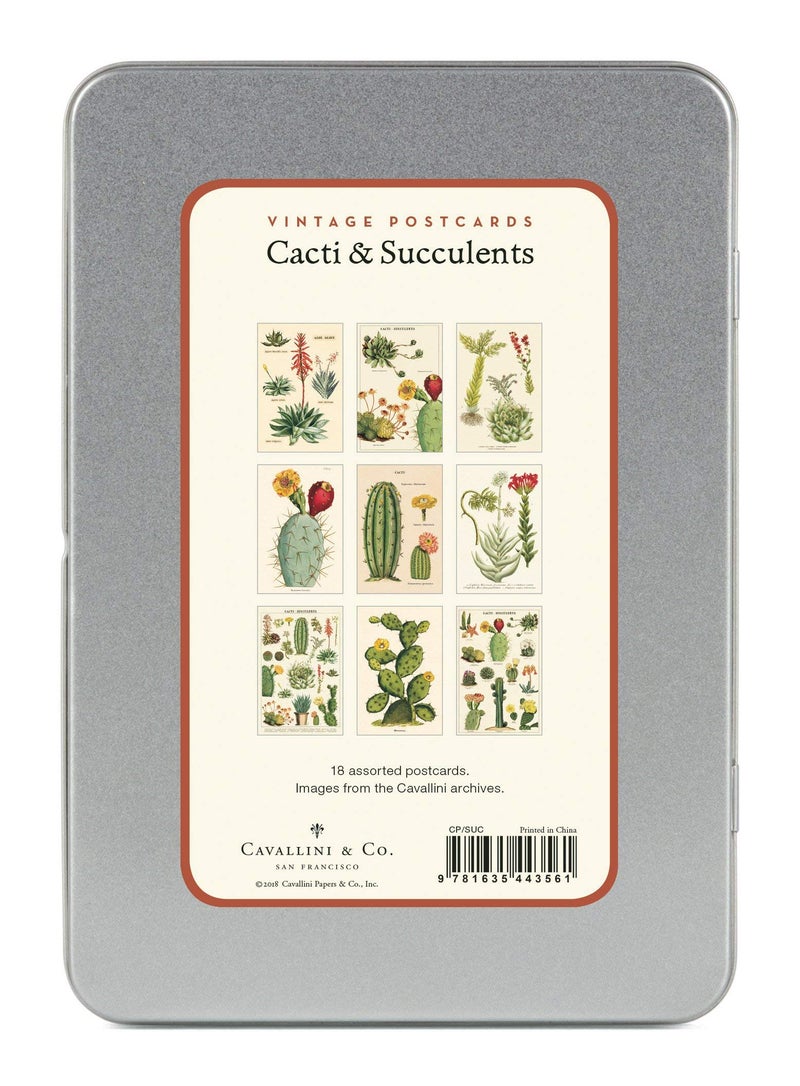 CAVANILLI & CO. Cavallini & Co. Cacti & Succulents Vintage Postcard Set - Image 2